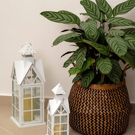 شقة Uva Nera House