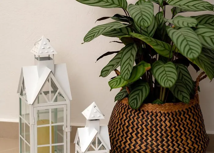 Apartamento Uva Nera House